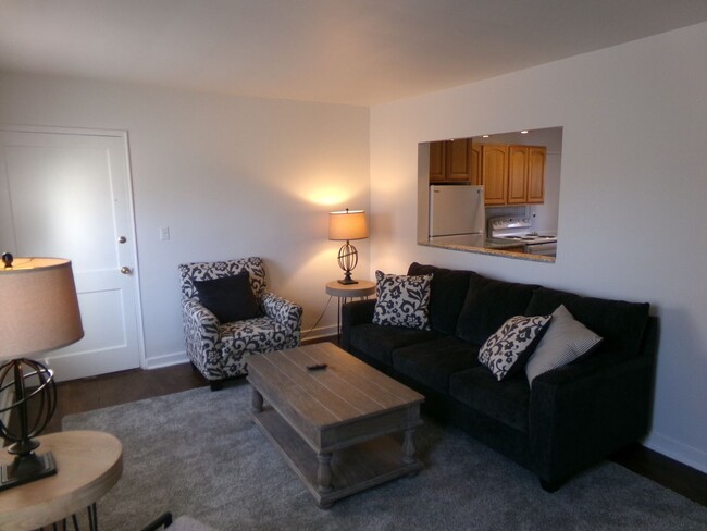 Photo - Furnished unit