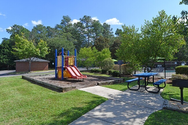 Playground & Picnic Table