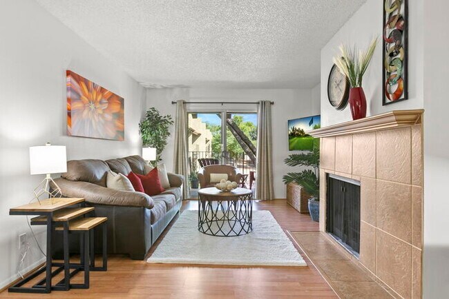 Photo - The Lone Traveller