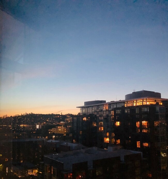 2801 1st Ave Unit 1115