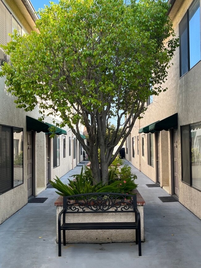 elm226