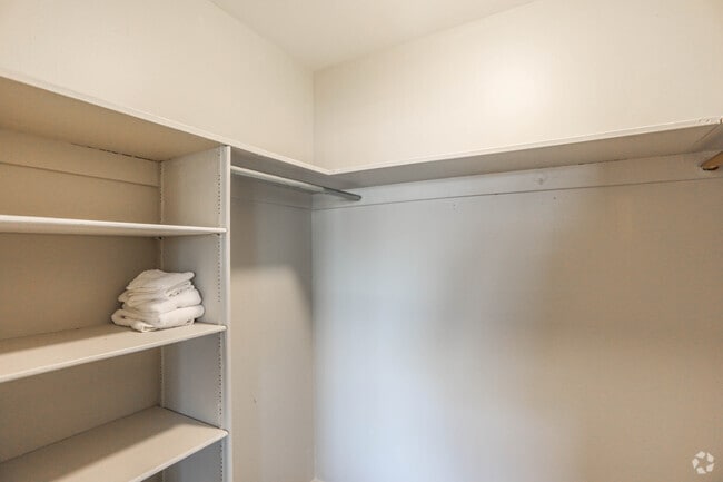 Unit 210 walk in closet