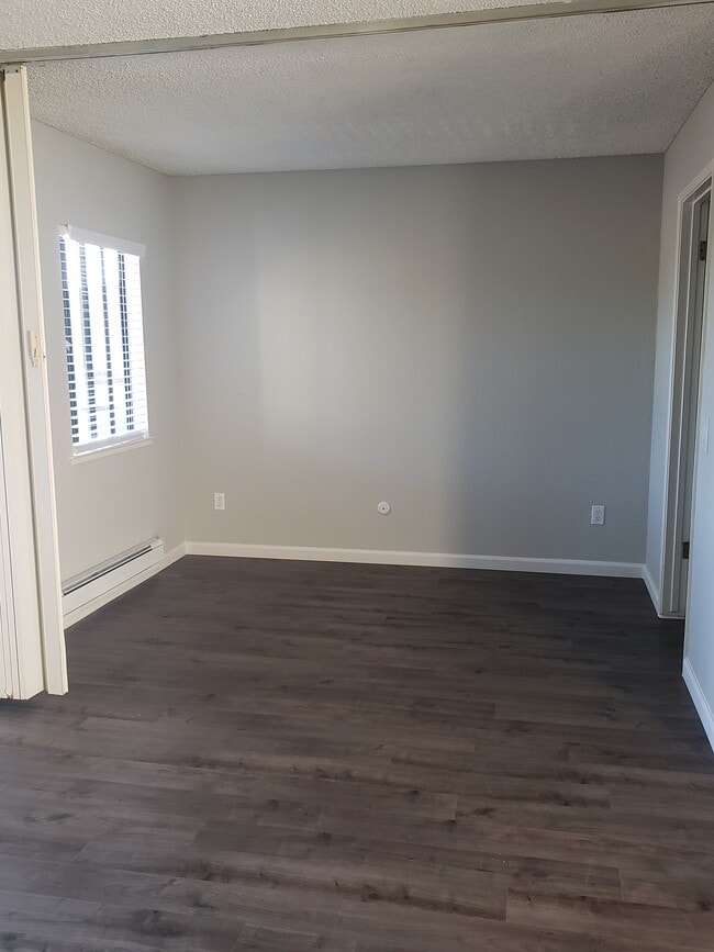 Photo - Footprints on the Bay