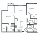 Spruce