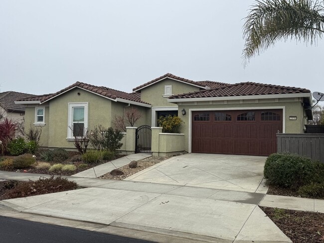 Photo - Beautiful Home in Springlake