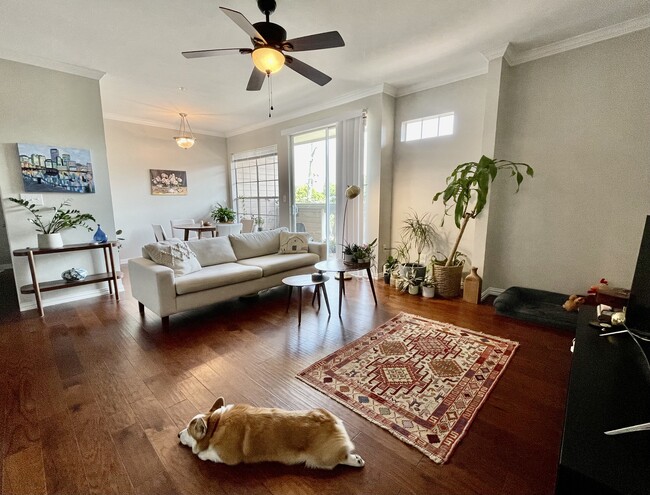 Building Photo - 2111 Welch St Unit A202 Rental