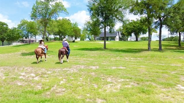 Building Photo - 400 Timber Wild Dr