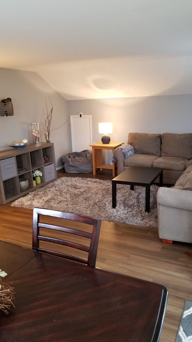 Living Room - 715 Main Street Unit Rear Apt