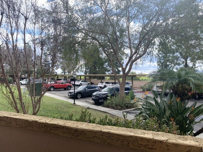 12071 Alta Carmel Ct Unit 81