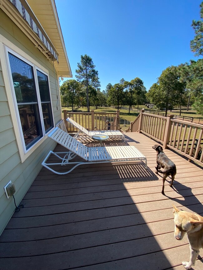 Another view of deck - 970 Shell Bluff Dr