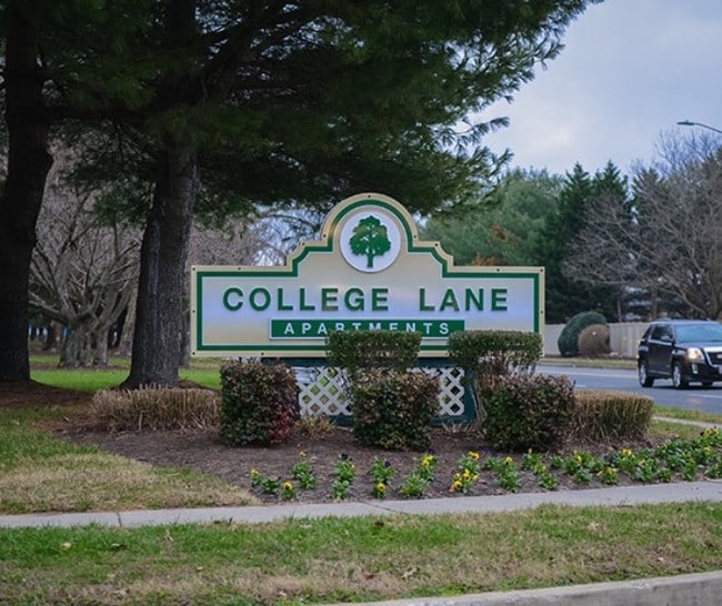 College Lane Apartments - College Lane Apartments