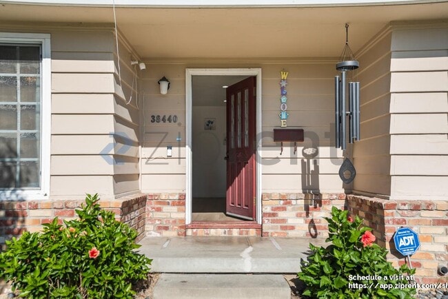 Photo - 38440 Farwell Dr