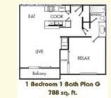 Plan G