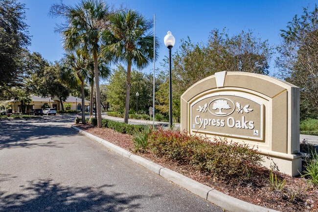 336 Sandy Oak Cir Leesburg, FL 34748