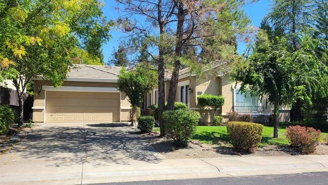 Single Story, Possible Inlaw or Great Home... - Single Story, Possible Inlaw or Great Home...