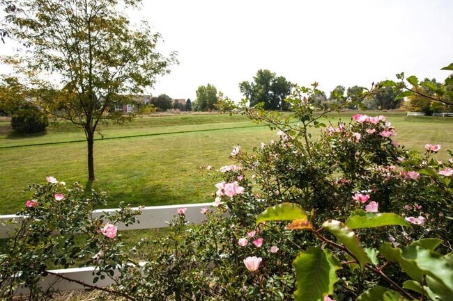 Photo - 2362 Calcite St