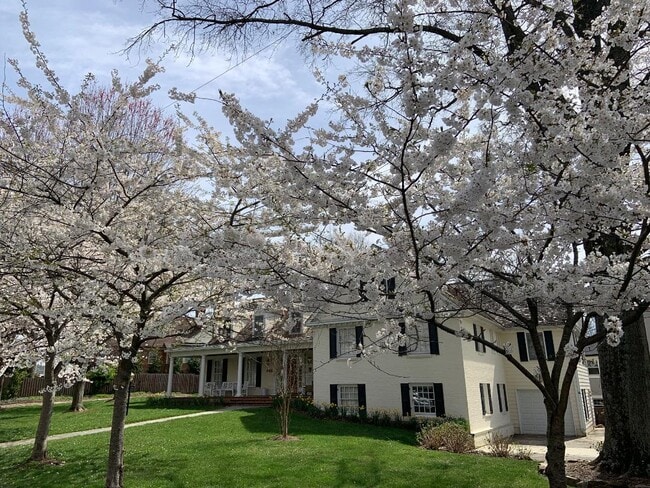 Front right windows on second floor are part of the room - 5804 Searl Ter Unit Private Primary Suite