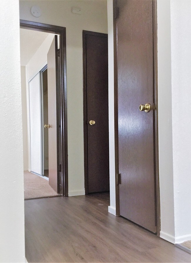 Photo - Bardon Apartments