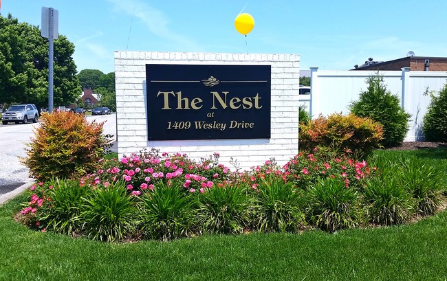 The Nest Student Housing - The Nest Student Housing Apartments