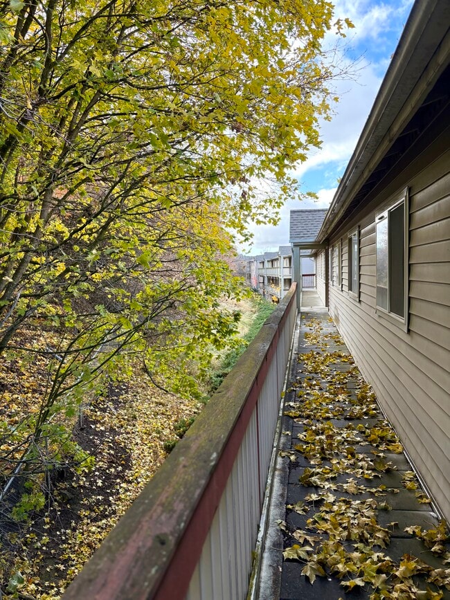 Photo - OUTLOOK APTS