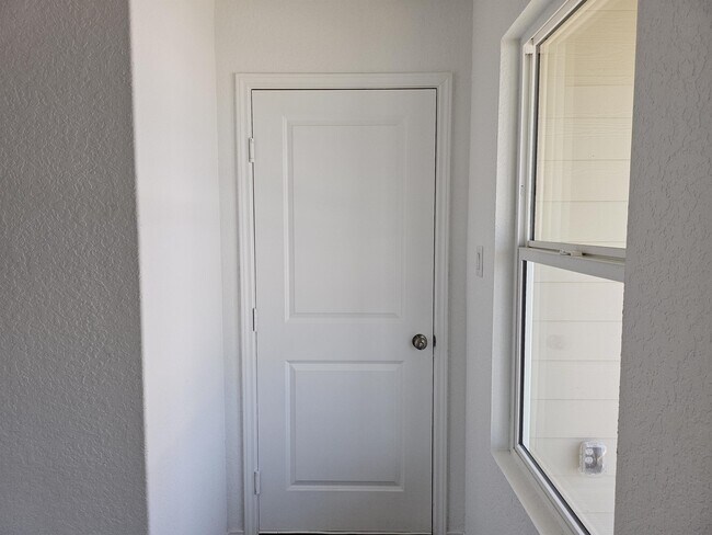 9262 Honey Mesquite