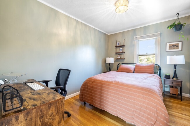 Photo - 261 Forest St