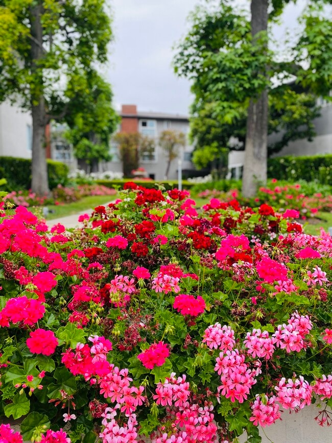 Crepe Myrtle Apartments