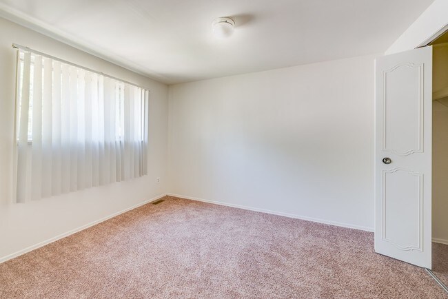 Photo - Carolina Flatz