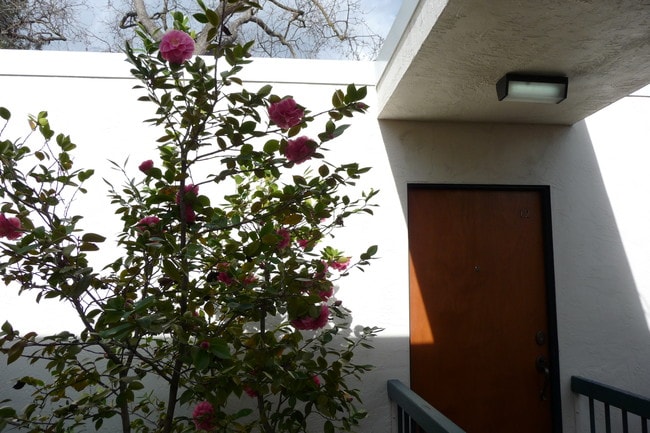 Puerta principal - 1470 Creekside Dr Unidad 12