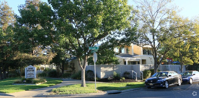 Foto principal - Dos Pinos