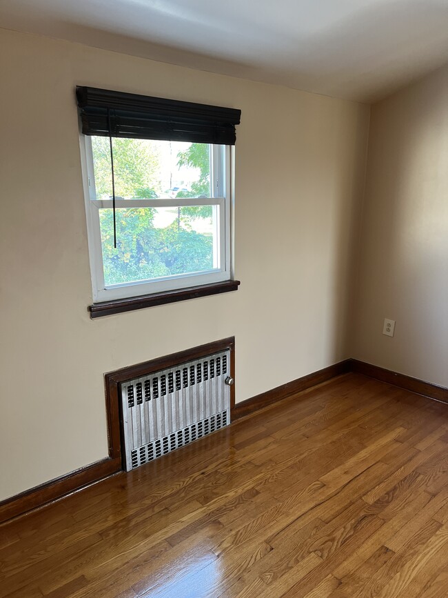 Living room window looking at yard