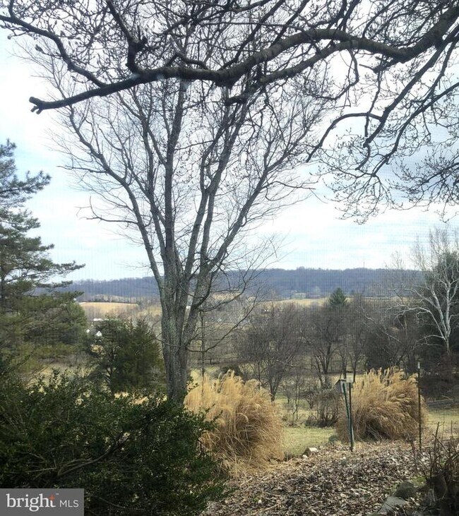 Photo - 8376 Meadows Rd