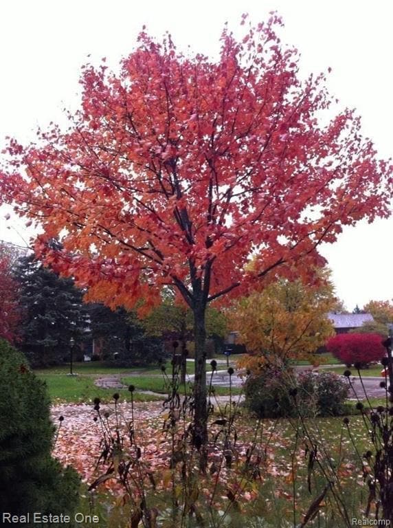 Photo - 5837 Folkstone Dr