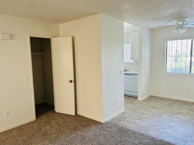 Coat Closet in Living Room