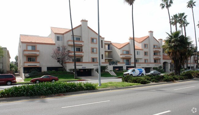 Palm Terrace