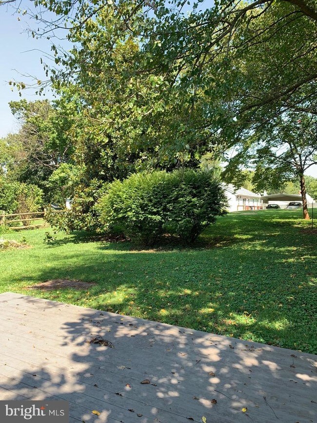 Photo - 219 Waterloo St