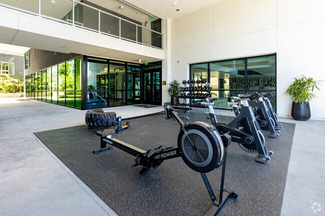 Outdoor Gym
