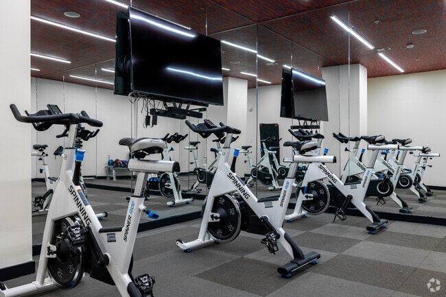 Spin & Yoga