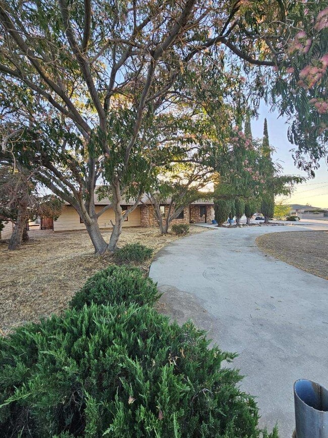 Photo - 7742 Oxford Ave