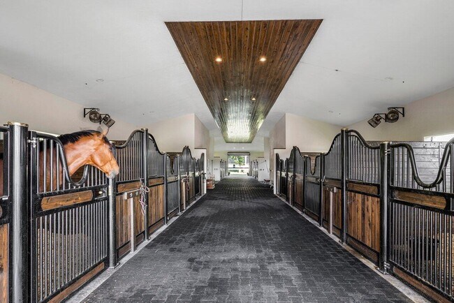 Photo - 1382 Clydesdale Ave