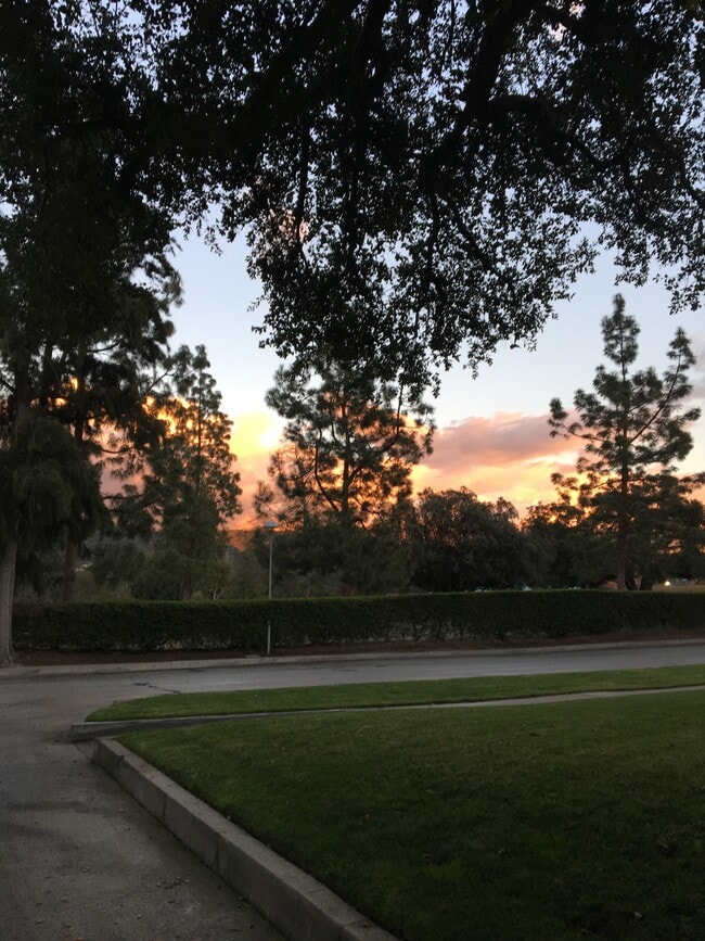 Vista de la calle y campo de golf - 3141 Country Club Dr