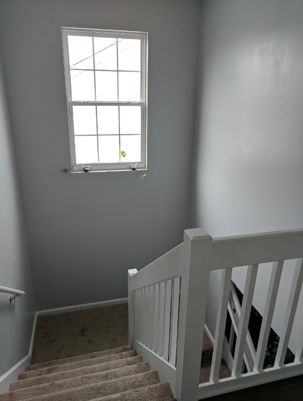 Photo - 8407 Arbor Meadow Way