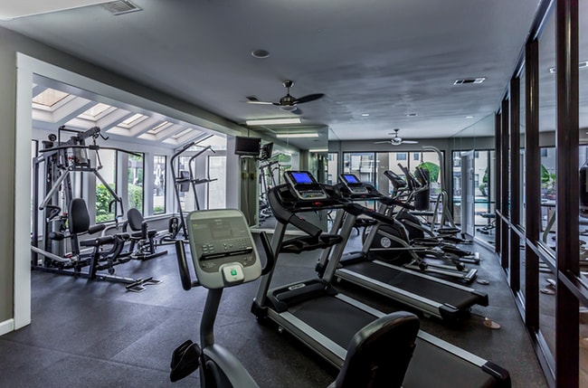 Expansive Fitness Center