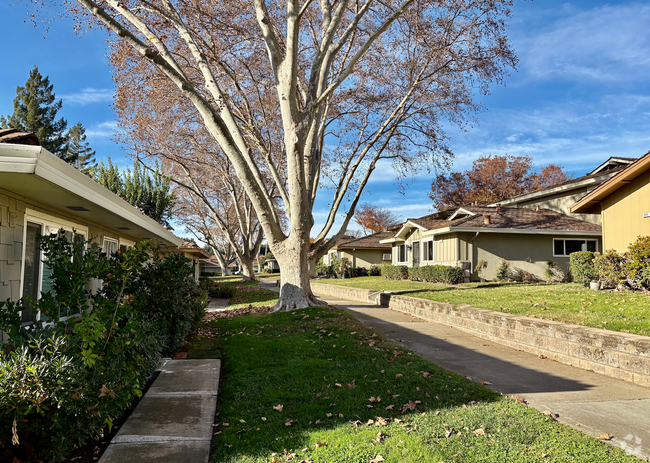 Building Photo - Remodeled Upper-Floor Condo Unit 4