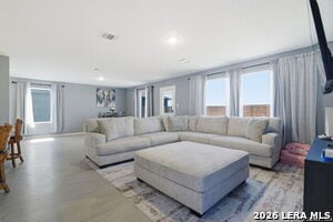 Photo - 1823 Musk Rose