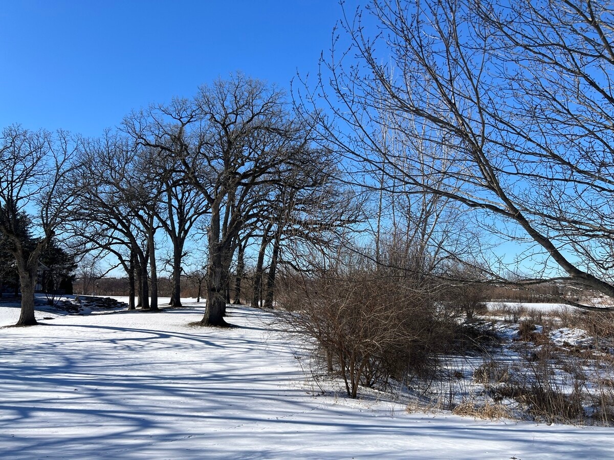 Photo - 13215 Michigan Ave