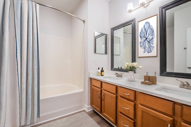 Photo - Bellingham Park