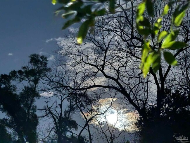 Building Photo - 6020 Marie Ave