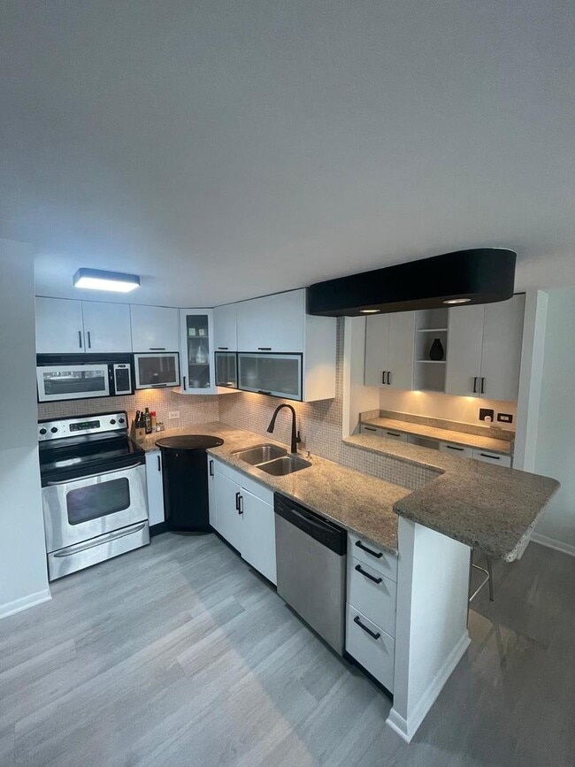 Photo - 1221 N Dearborn St Unit 1409N