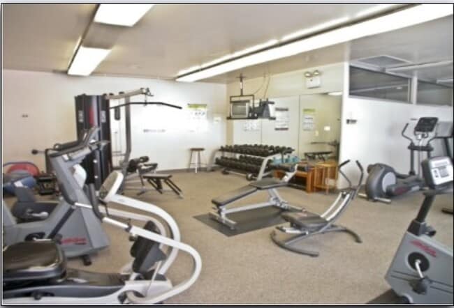 Building Photo - Newly Renovated, 1 Bed/1Bath Unit with Stu... Rental